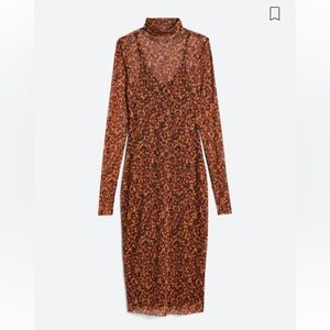 NWOT Steve Madden Apparel Women's Vivienne Leopard Sheer Overlay Dress